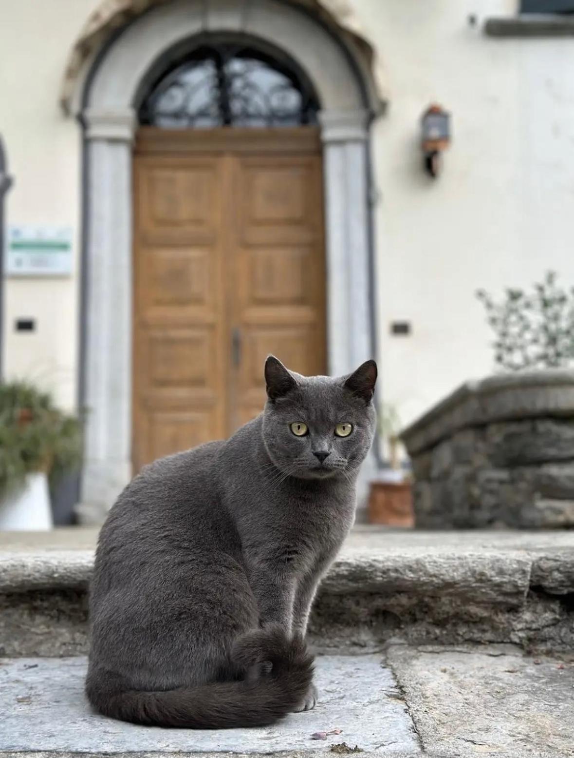 B&B La Dolce Casa Lago Di Como Cremia Ngoại thất bức ảnh