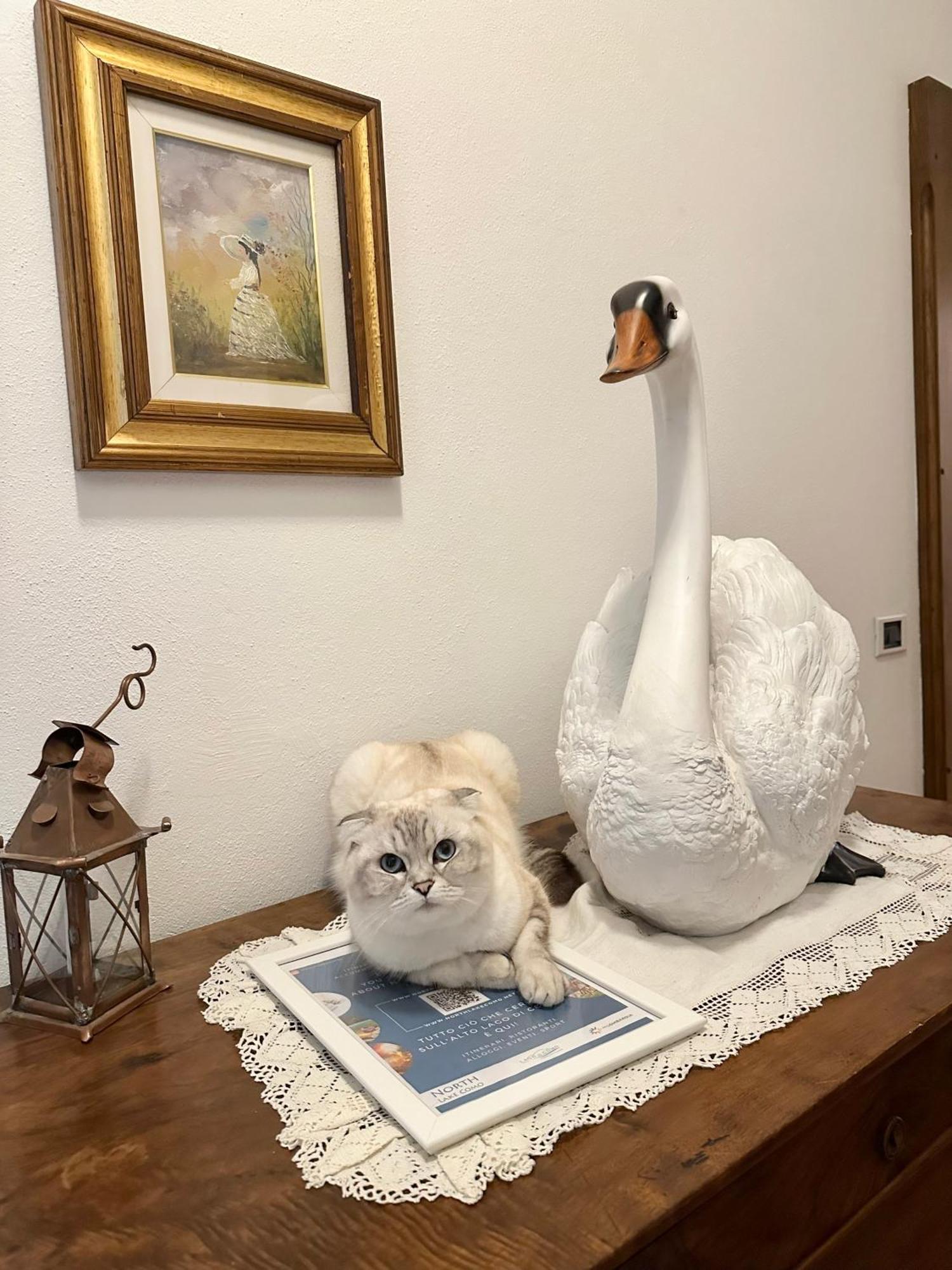 B&B La Dolce Casa Lago Di Como Cremia Ngoại thất bức ảnh