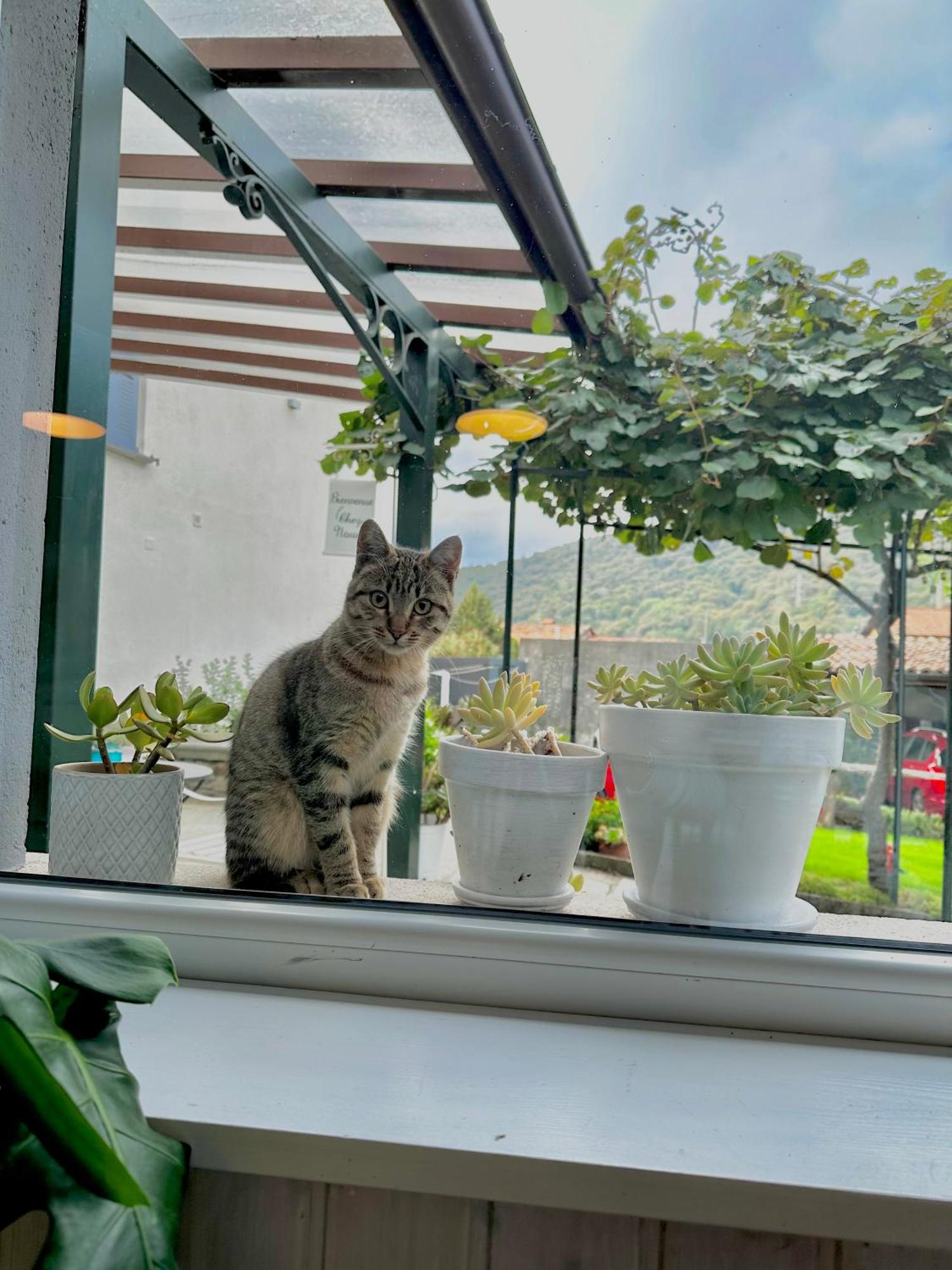 B&B La Dolce Casa Lago Di Como Cremia Ngoại thất bức ảnh